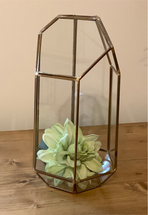 Tall Geometric Terrarium